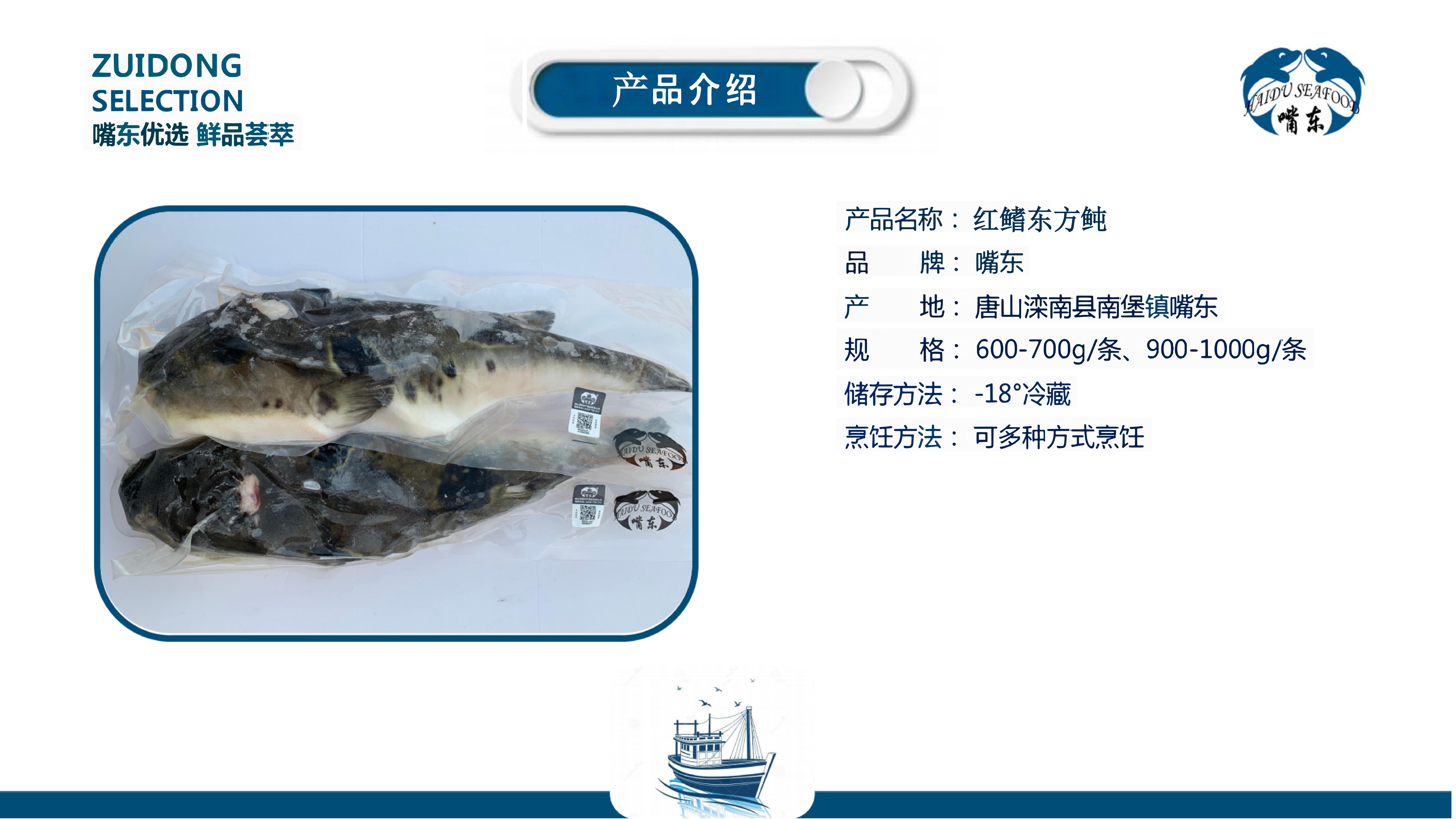 1730193538786045700.jpg 6.红鳍东方鲀.jpg